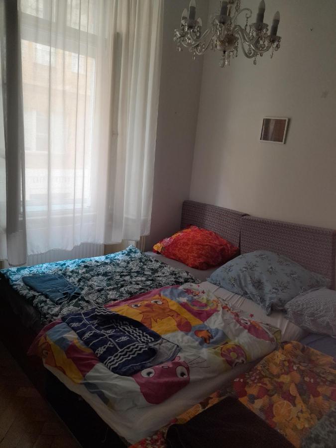 Private In Shared Luxurious Palace Like With 2 Bathrooms Including Whirlpool And Virtual Reality Gasthof