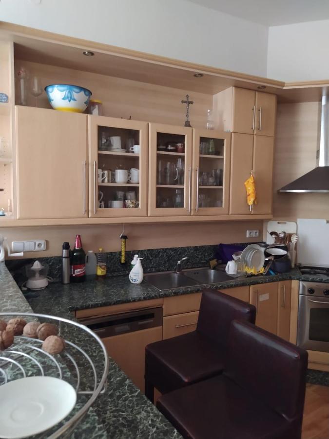 Private In Shared Luxurious Palace Like With 2 Bathrooms Including Whirlpool And Virtual Reality Gasthof Prag