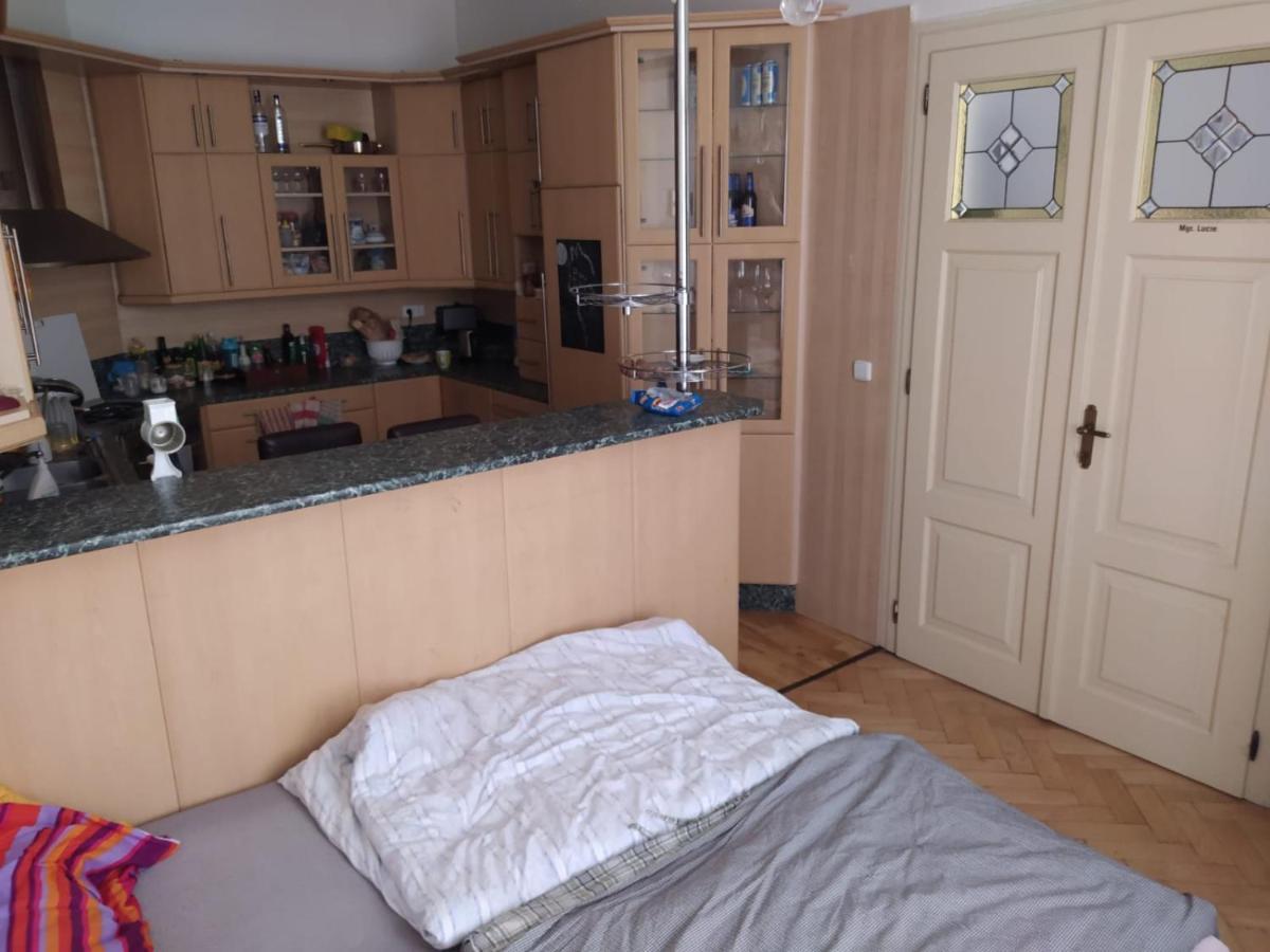 Private In Shared Luxurious Palace Like With 2 Bathrooms Including Whirlpool And Virtual Reality Gasthof *